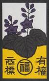 Paulownia amarilla Paulownia amarilla